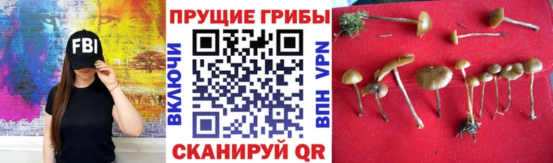 Псилоцибиновые грибы ЛСД  где найти   Жуковка 